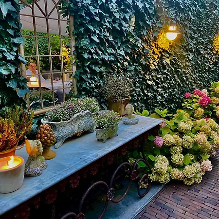 Huyze Elimonica Отель типа 