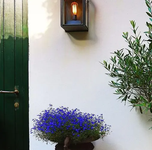 Huyze Elimonica Отель типа 