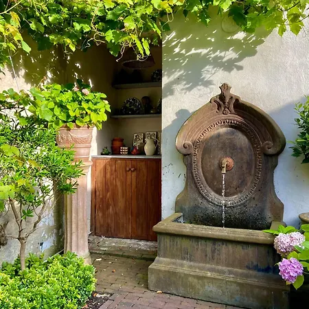 Oda ve Kahvaltı Huyze Elimonica